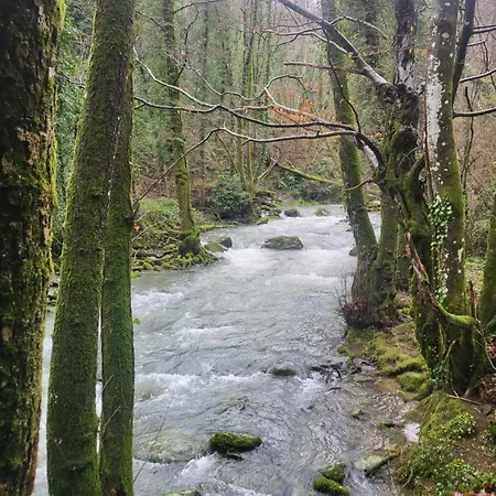 Rustico 