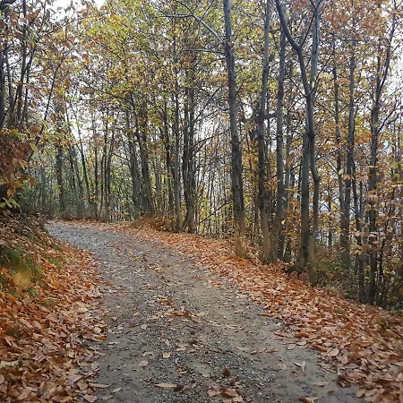 Rustico 