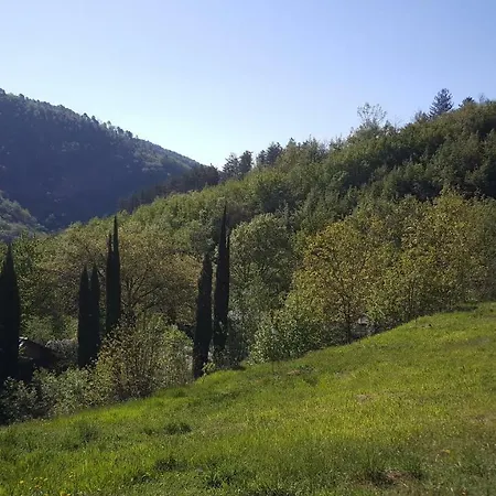 Rustico 