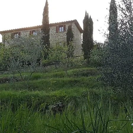 Rustico 
