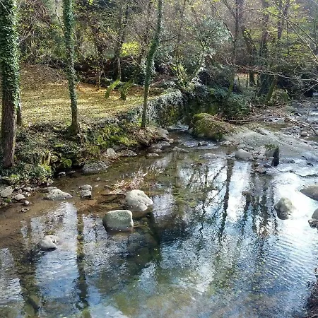 Rustico 