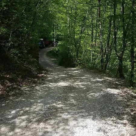 Rustico 