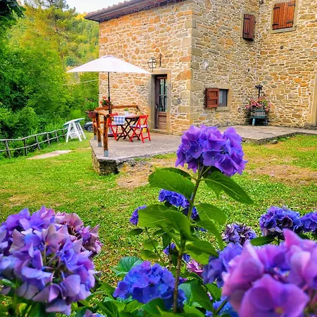Appartement Rustico 