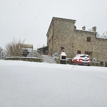 Rustico 