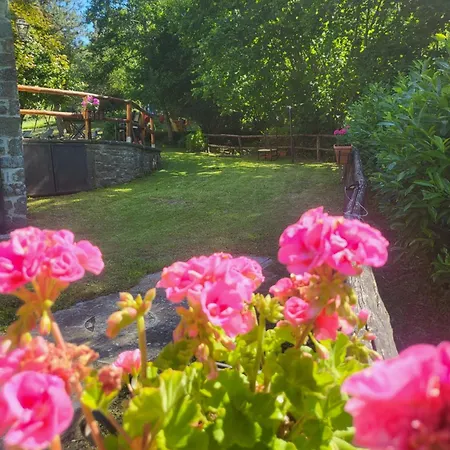 Appartement Rustico 