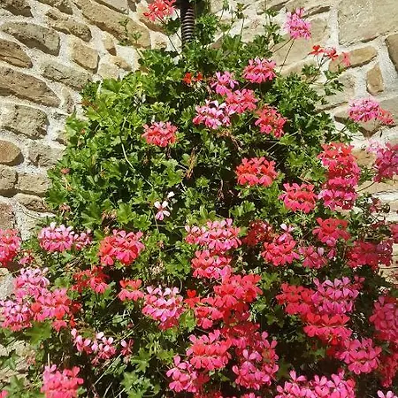 Il Casale Del Mulino Salutio