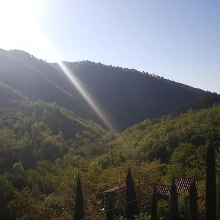 Rustico 